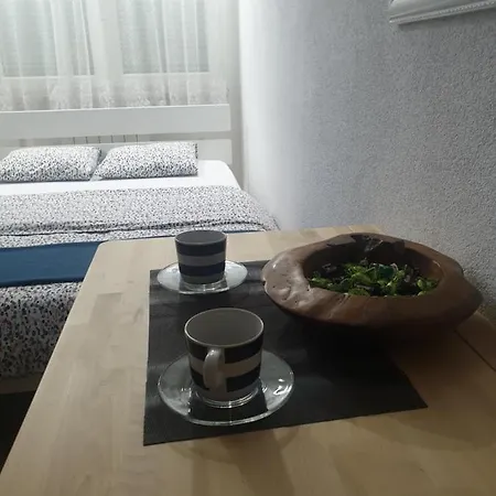 Apartment Banja Luka 公寓 巴尼西卢卡